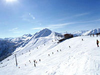 Exeter Skiing Westendorf