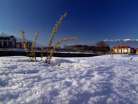 Bulgaria Ski Exeter